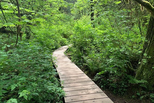 Tour image 3