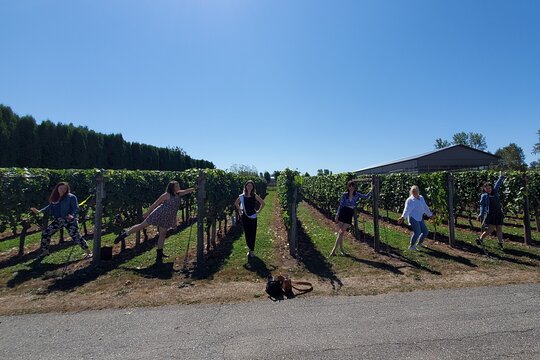 Tour image 6